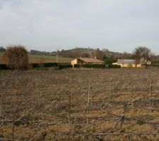 Autre vue depuis le haut du terrain