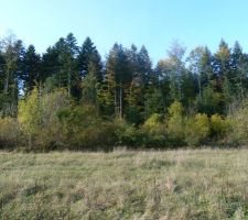 Le terrain avant le début des travaux.