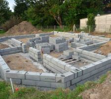 Vide sanitaire en cours