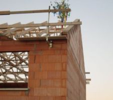 Tradition allemande, un arbre porte bonheur!! et petite fête en prime