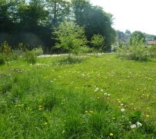 Notre petit coin de paradis