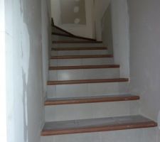Carrelage escalier avec nez de marche en bois