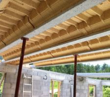 Dalle lourdi bois rector