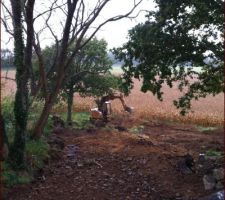 Début du terrassement du terrain : opération souches !