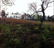 Après terrassement : mon futur potager