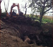 Une pelleteuse dans mon potager