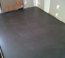 Entr&eacute;e

le carrelage est un gr&egrave;s c&eacute;rame Atacama negro 45x45