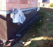 Delta Ms sur vide sanitaire