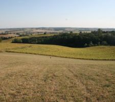 Le fond du terrain non constructible 1 hectare