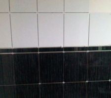 Faience de la salle de bain...