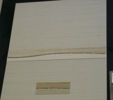 Les faïences du cabinet de toilette de la chambre