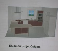 La cuisine sera prune et achetée chez but (pose à 1 euro)meuble Nobilia.Un très bon commercial chez BUT.L'électroménager four Samsung double compartiment,hotte Sauter à moteur déporté,plaque induction Faure,les photo seront faite lors de l'installation.