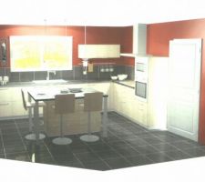 Ma future cuisine. Le frigo est encastr&eacute; dans le mur a gauche.
et les 2 autres pans de murs seront peints en blanc pour r&eacute;fl&eacute;chir la lumi&egrave;re (le rendu est pas aussi bien qu'en vrai, mais bon je suis contente)