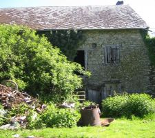 La maison enlacer de lierres et d'arbres
 et le reste