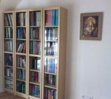 Mezzanine bibliotheque billy