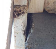 El&eacute;vation sous-sol.
Pilier mal d&eacute;coffr&eacute;....