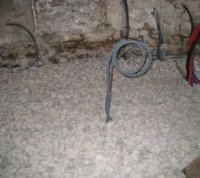 Encore une vue du h&eacute;risson