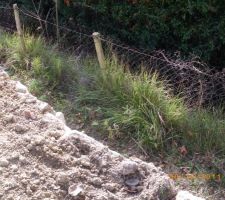 Espace entre mur de sout&egrave;nement et limite du terrain