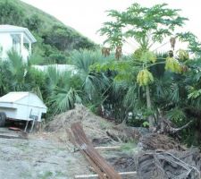 Partie inferieure du terrain juste avant le terrassement