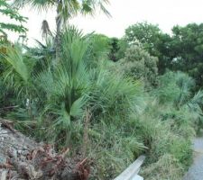 Terrain avant terrassement