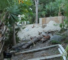 Partie sup de terrain vue du bas juste avant terrassement