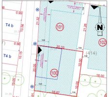 Plan topographique du terrain avec implantation de la maison.