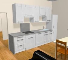 Cuisine sans bar, projet finalement le plus probable