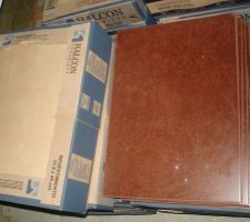 La faience de la salle de bain