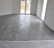 Carrelage pièce de vie