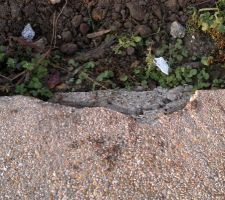 Nouvelle dégradation sur lot 2