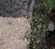 Dégradations sur lot 2