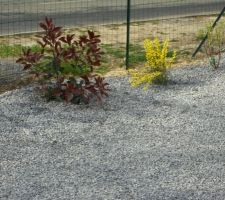 Decoration ca fait moin triste