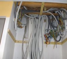 Raccordement des cables  dans les boites de connections