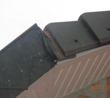 Raccord en silicone bitumeux;je refuse également........