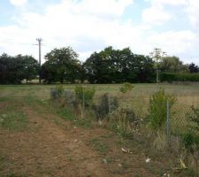 voici le terrain on a un petit chemin ou je suis et le terrain est dans le fonds