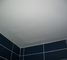 Plafond SDB. impossible de poncer plus, les rail apparraissent
