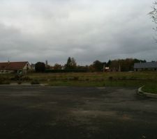 Vue du terrain apr&egrave;s coupe des arbres