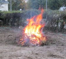 Ben, ...le feux de l'ancienne haie