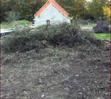 Le tas de bois après le feux ! 3/4 partis en fumée