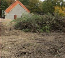 Le tas de bois avant le feux !