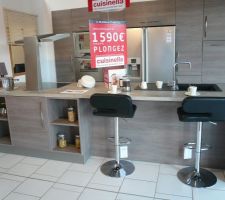 Le modèle de cuisine. C'est la teinte que l'on a choisie.