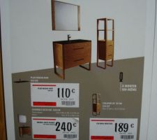 Mod&egrave;le salle de bain chambre ami