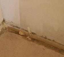Les chapes des 3 chambres se désagrégeaient, donc le carreleur est revenu pour faire un réagréage, donc il a dégagé ( creusé) tous les bords ( vous constaterez qu'il n'y a pas de plastique séparant la chape de la cloison) et a remis un plastique bleu et a fait son réagréage.