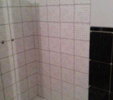 Manque plus que les joints et la paroie!!!