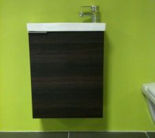 VOICI LES CHOIX POUR LES SANITAIRES. 
ATTENTION, NOUS N'AVONS PAS ENCORE FAIT NOTRE CHOIX !!!! MAIS CE QU'IL PROPOSE EST PAS MAL !!!