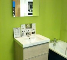 Voici le meuble de SDB et SDE. 
Il y a 5 couleurs disponibles !!!!