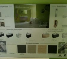 Voici le modèle "Odéon Up" de chez Jacob Delafon !!! Tous les sanitaires (WC Suspendu, Baignoire, Meuble SDB, Robinétrie....)