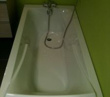 Baignoire Proposée !!! Toujours du Jacob !!!! La forme est assez sympa mais on hésite avec une baignoire d'angle !! Tout dépend du surcoût annoncé par M'Sieur le constructeur mais je pense qu'il va être gentil !!! (Je vous tiendrai informé !!)