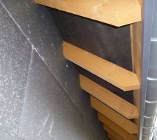 ITE: isolant posé entre les chevrons et jusqu'à la sous-toiture