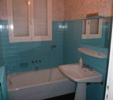 Salle de bain actuelle (jolie couleur..-) ) qui deviendra après démolition et ouverture la sdb de notre suite parentale.